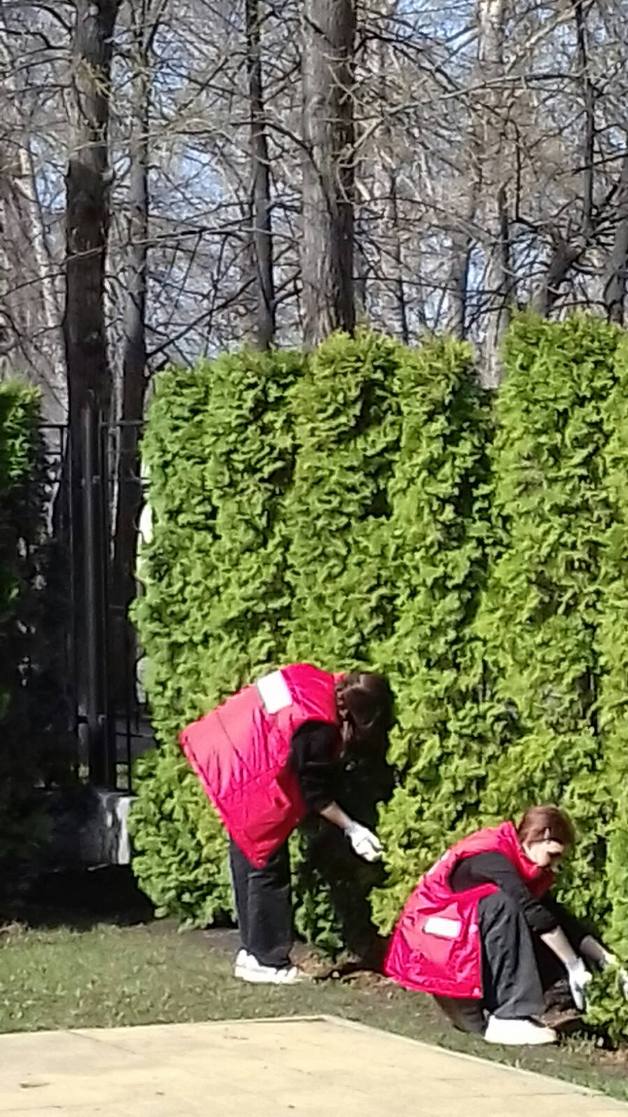 IMG daa4dd6fc95bd96f81aa0cbfdf579b85 V