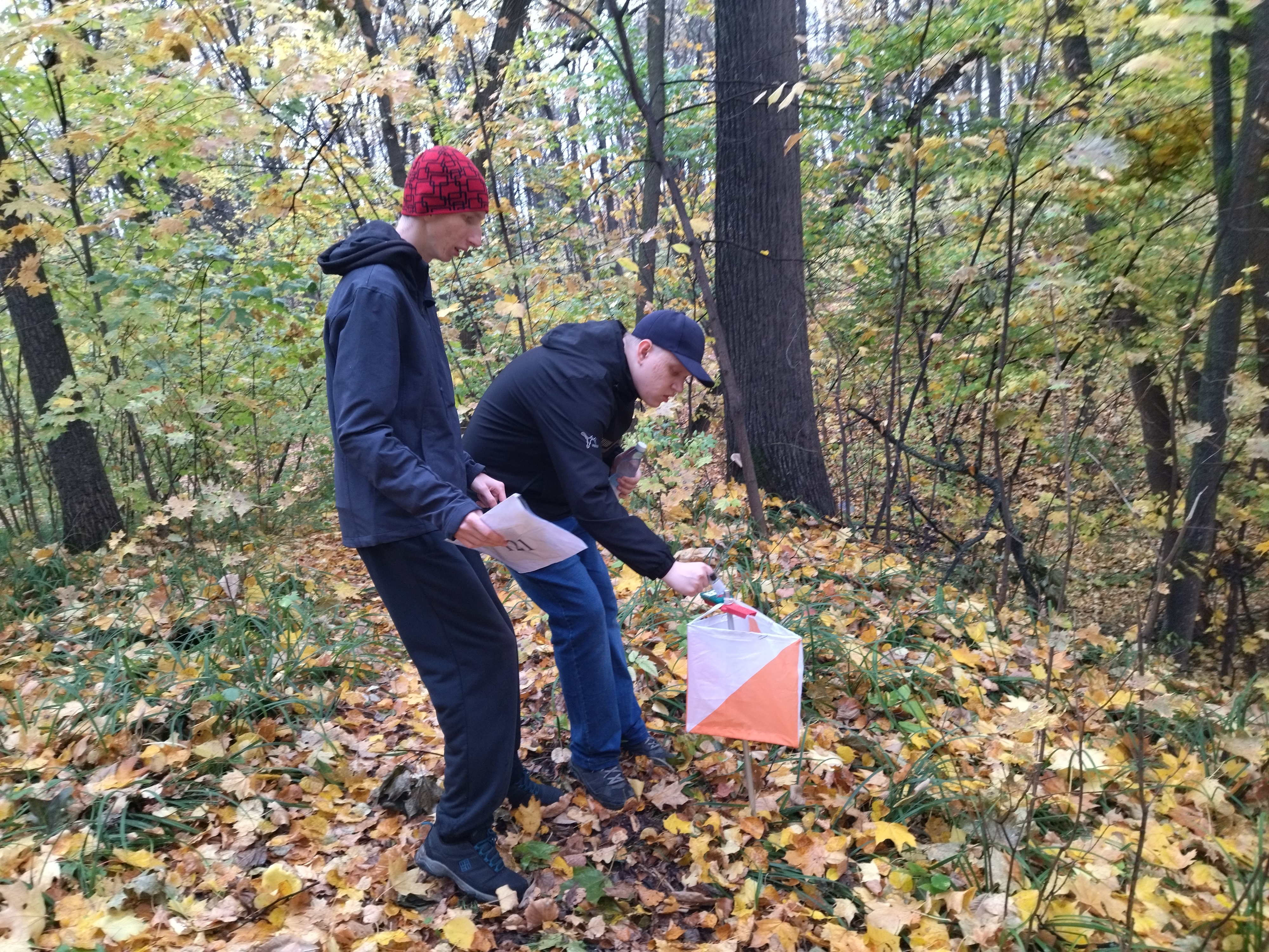 IMG 20221011 1203571