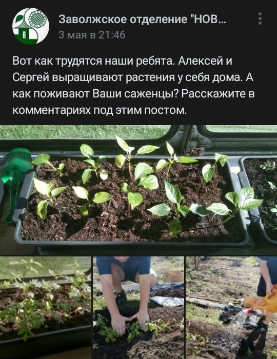 Screenshot 20200513 092123