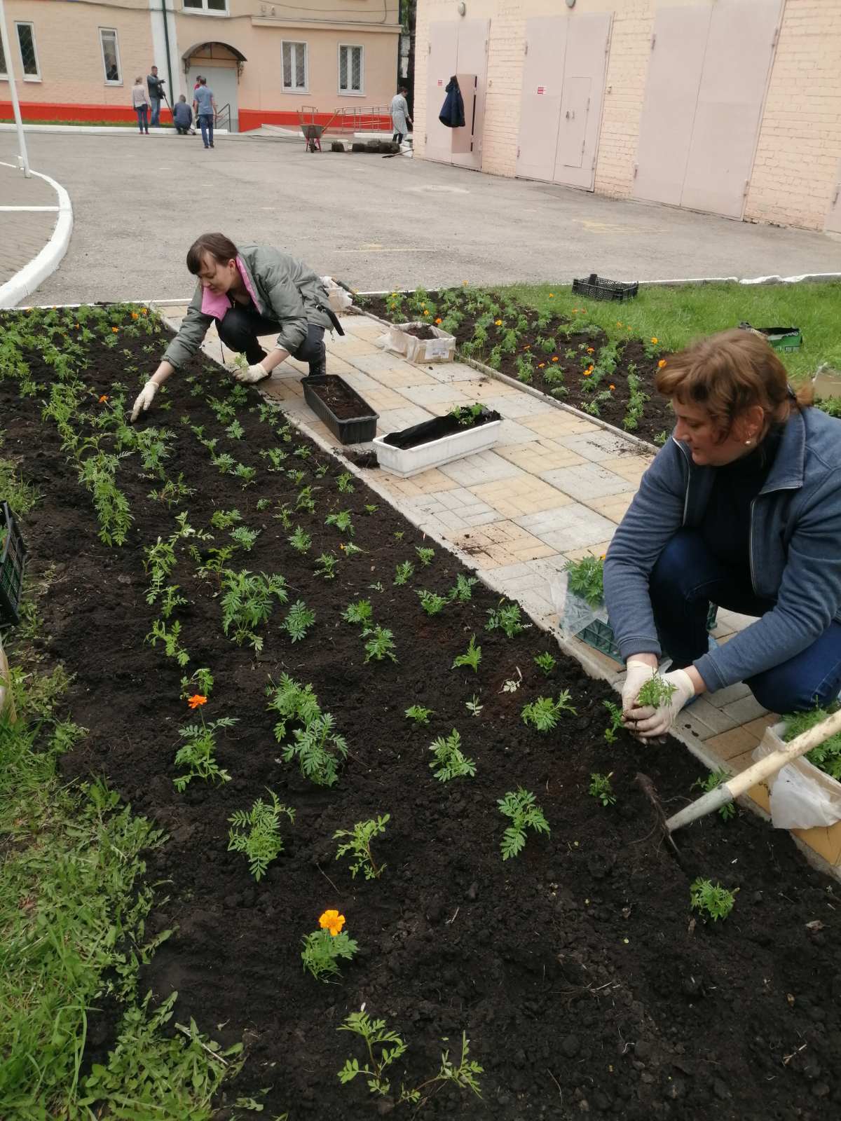 изображение viber 2020 05 07 15 13 35